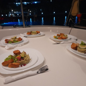 croisiere week-end sainte-lucie catamaran 19