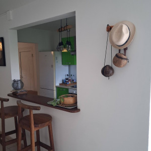 location appartement au diamant martinique 04