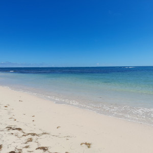 villaleraisinier martinique 02