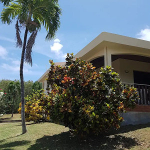 villaleraisinier martinique 04