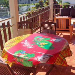 villaleraisinier martinique 06