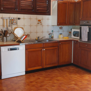 villaleraisinier martinique 07