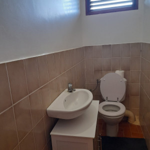 villaleraisinier martinique 09