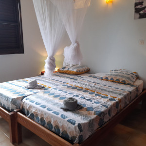 villaleraisinier martinique 10