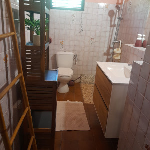 villaleraisinier martinique 13