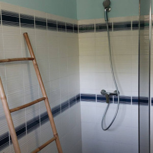 villaleraisinier martinique 14