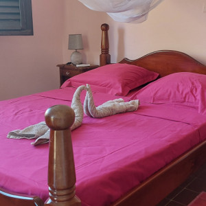 villaleraisinier martinique 16