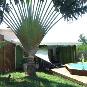 bungalow ticasecaraibes martinique 03