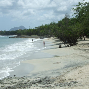 bungalow ticasecaraibes martinique 13